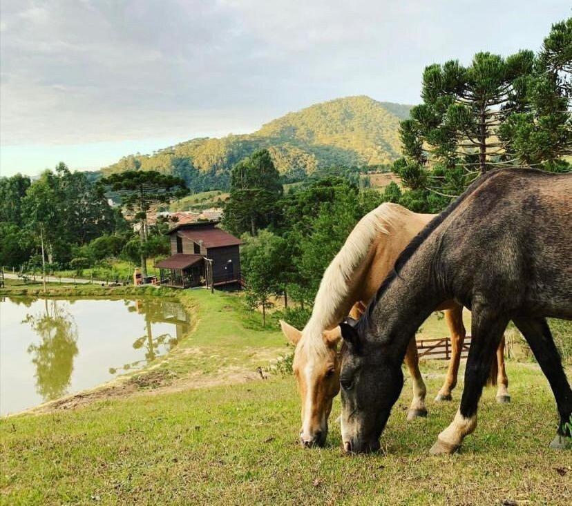 Floresta Secreta- Pousada Cachoeira Da Neve Urubici Eksteriør billede